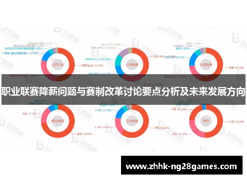 职业联赛降薪问题与赛制改革讨论要点分析及未来发展方向